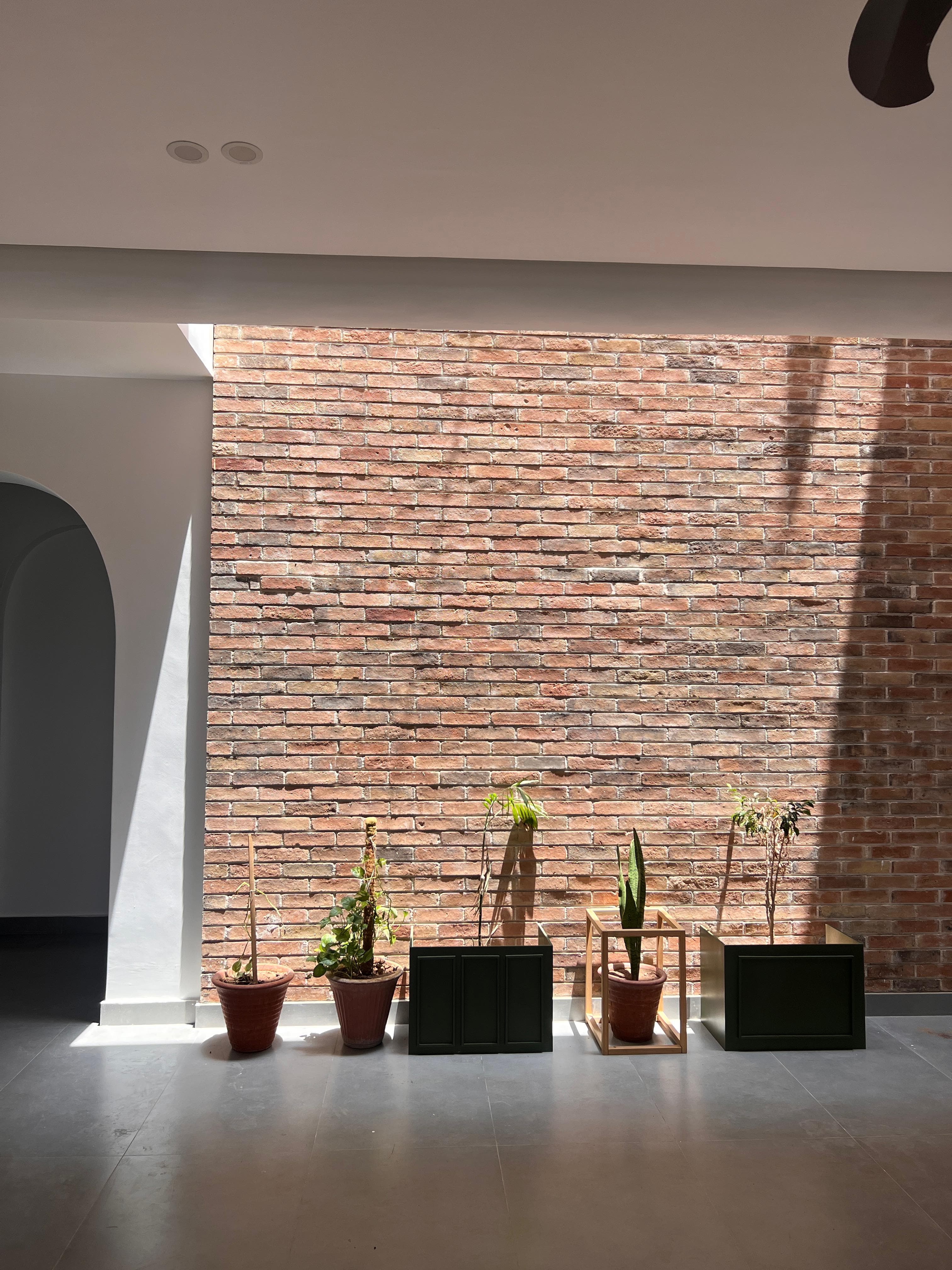 Sunlit brick courtyard wall